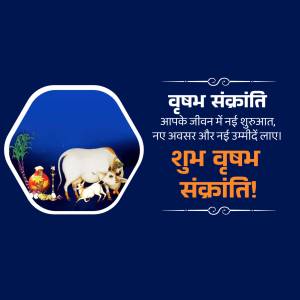 Vrish Sankranti festival greeting with cow and calf illustration