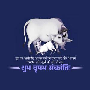Image of a white cow with a calf, with text in Hindi wishing a Happy Makar Sankranti.