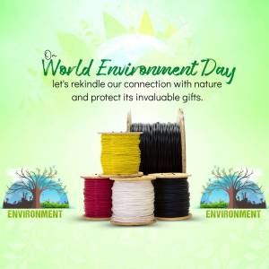World Environment Day - Rekindle Connection With Nature Banner For Google Business Profile