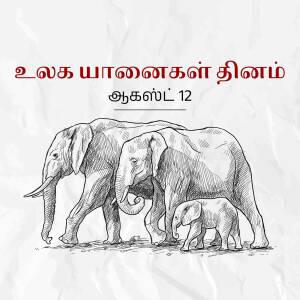 Sketch of an adult elephant and a baby elephant walking together.