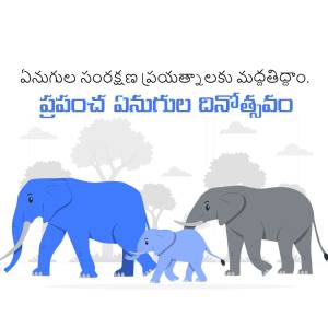 Illustration of a family of elephants with text in Telugu
