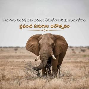 An elephant walking towards the camera in a dry landscape with Telugu text.