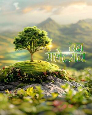 A lone vibrant green tree on a mossy hill during sunset with Van Mahotsav Hindi text