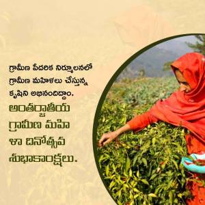 A woman working in a lush green tea plantation, harvesting tea leaves.