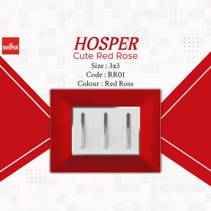 Red Hosper switch plate with three switches