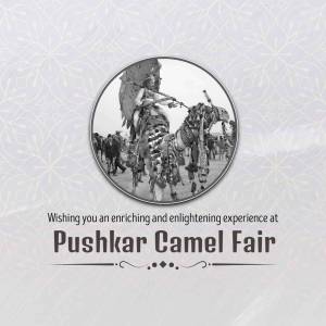 Pushkar Camel Fair Invitation Image For WhatsApp
