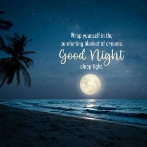 Good night image with a beach, moon, and palm tree.