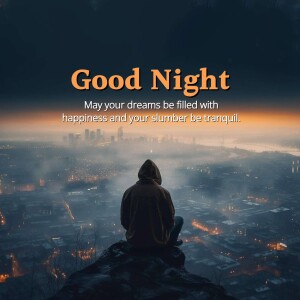 A person sitting on a cliff overlooking a city at night with the text 'Good Night'