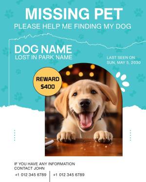 Missing dog poster with a picture of a golden retriever and contact information.