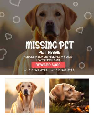 Missing dog poster with a picture of a Labrador Retriever and reward information.