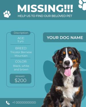 Missing dog poster featuring a Bernese Mountain Dog with details for identification and a reward offer.