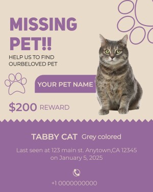 Missing cat poster with a grey tabby cat and reward information