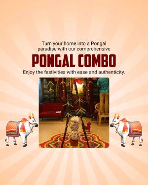 Pongal Combo offer with decorated cows and festive setting