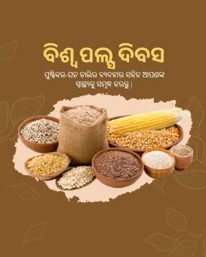 Assortment of grains and pulses in earthen bowls