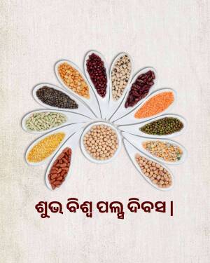 A colorful arrangement of different types of lentils on white spoons.