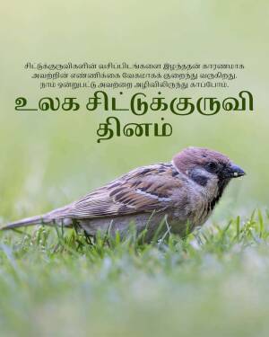 A small brown sparrow perched on green grass with Tamil text overlayed.