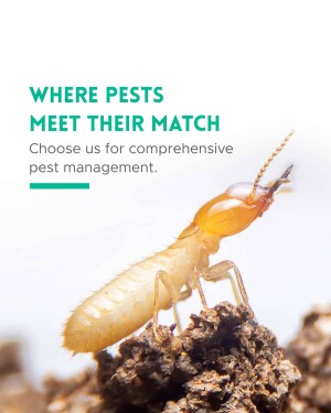 Pest Management - Termite Control Status Post For Threads