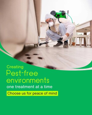 Pest control worker spraying insecticide near a sofa and visible pests.