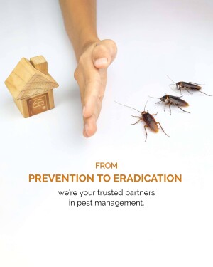 Image depicting a hand near a miniature house with cockroaches, representing pest control services.