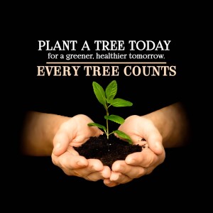 Image Of Text Graphic For Pinterest