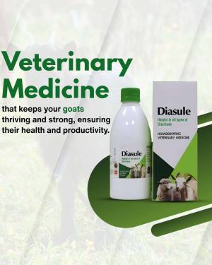 Diasule bottle for goat health and productivity