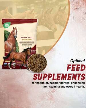 Bag of horse feed with image of a horse and pile of feed pellets