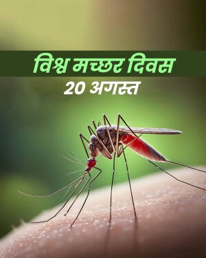 Close-up of a mosquito on skin with text 'World Mosquito Day - 20th August'