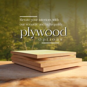 Stack of plywood sheets with blurred forest background and text promoting plywood options