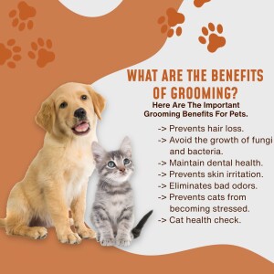 A golden retriever puppy and a tabby kitten with text listing the benefits of grooming.