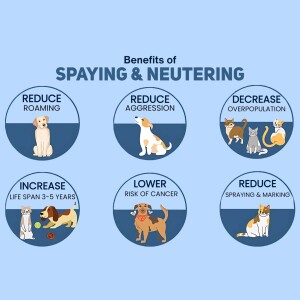 Infographic illustrating the benefits of spaying and neutering pets.