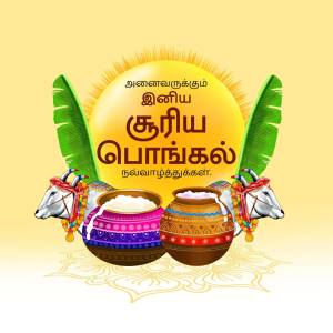 Pongal festival greeting with traditional elements like sun, sugarcane, pot, and cows.