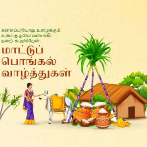 Illustration of a Pongal celebration with a woman, sugarcane, and rural setting.