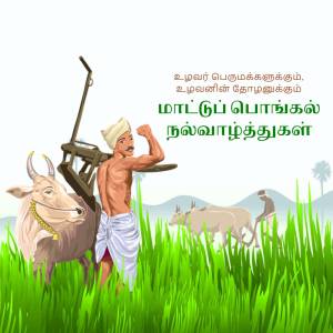 Illustration depicting a farmer plowing a field with oxen for Pongal