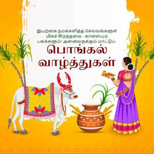 Illustration of a Pongal celebration with a cow, woman, and sugarcane.