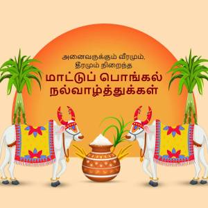 Pongal festival greeting with cows, sun, and traditional decorations