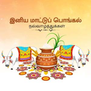 Pongal festival illustration with cows, pot, and traditional decorations