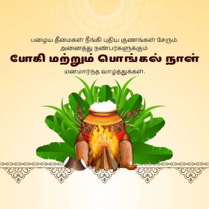 Pongal celebration with traditional pot and bonfire