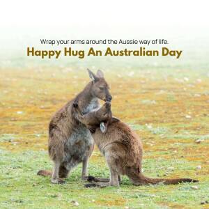 Two kangaroos hugging in a field with text 'Happy Hug An Australian Day'