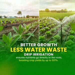 Image showing a split view of crops with and without drip irrigation, highlighting water conservation.