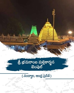 Illuminated golden gopuram and temple complex of Sri Bhramaramba Mallikarjuna Temple at night
