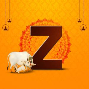 Letter Z with a cow and calf illustration for a festive occasion
