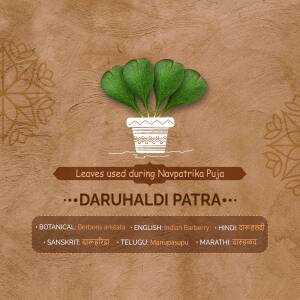 Image of Daruhaldi Patra leaves used during Navpatrika Puja
