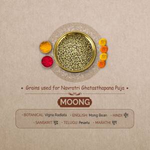 Close-up of Moong grains in a brass bowl with turmeric and vermillion, used for Navratri Puja