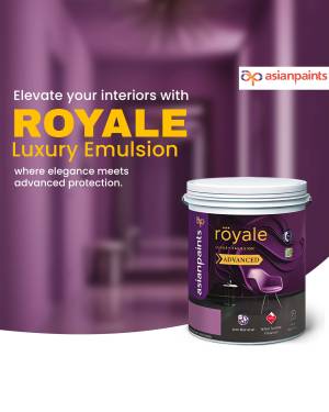Asian Paints Royale Luxury Emulsion paint can with a purple wall background