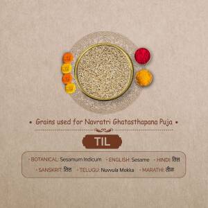 Image of sesame seeds and related ingredients used in Navratri Ghatasthapana Puja