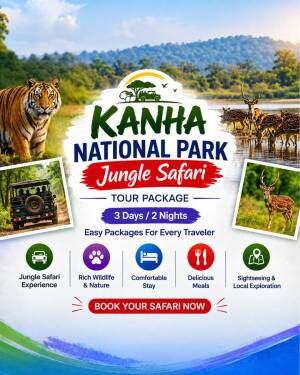 Kanha National Park jungle safari tour package advertisement with tiger and wildlife photos