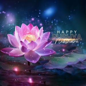 A vibrant pink lotus flower with sparkling lights and the text 'Happy Pushya Nakshatra'.