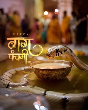 A snake offering milk to a bowl during Naga Panchami celebrations