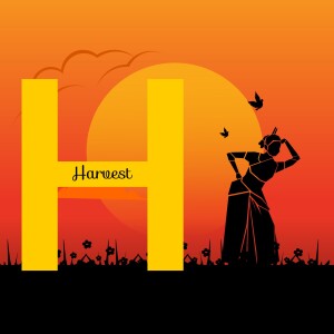 Silhouette of a woman in traditional attire against a sunset with a large letter 'H'