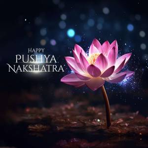 Pink lotus flower with sparkling lights and text 'Happy Pushya Nakshatra'